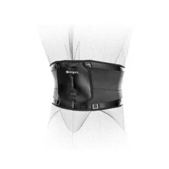 Bionic Back -Cardio Fitness Verkäufe compex bionic back ruecken bandage 3 1