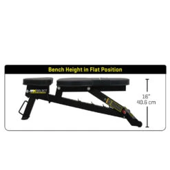 MX Select MX Bench Verstellbare Hantelbank 15 MX Select MX Bench Verstellbare Hantelbank -Cardio Fitness Verkäufe mx select mx bench verstellbare hanetlbank 7 1000x1000 2021