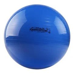 Original Pezzi Ball Standard 65cm