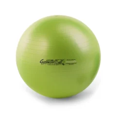 Original Pezzi Gymnastik Ball Maxafe 53cm -Cardio Fitness Verkäufe original pezzi gymnastikball maxafe acid green 2019 1 1