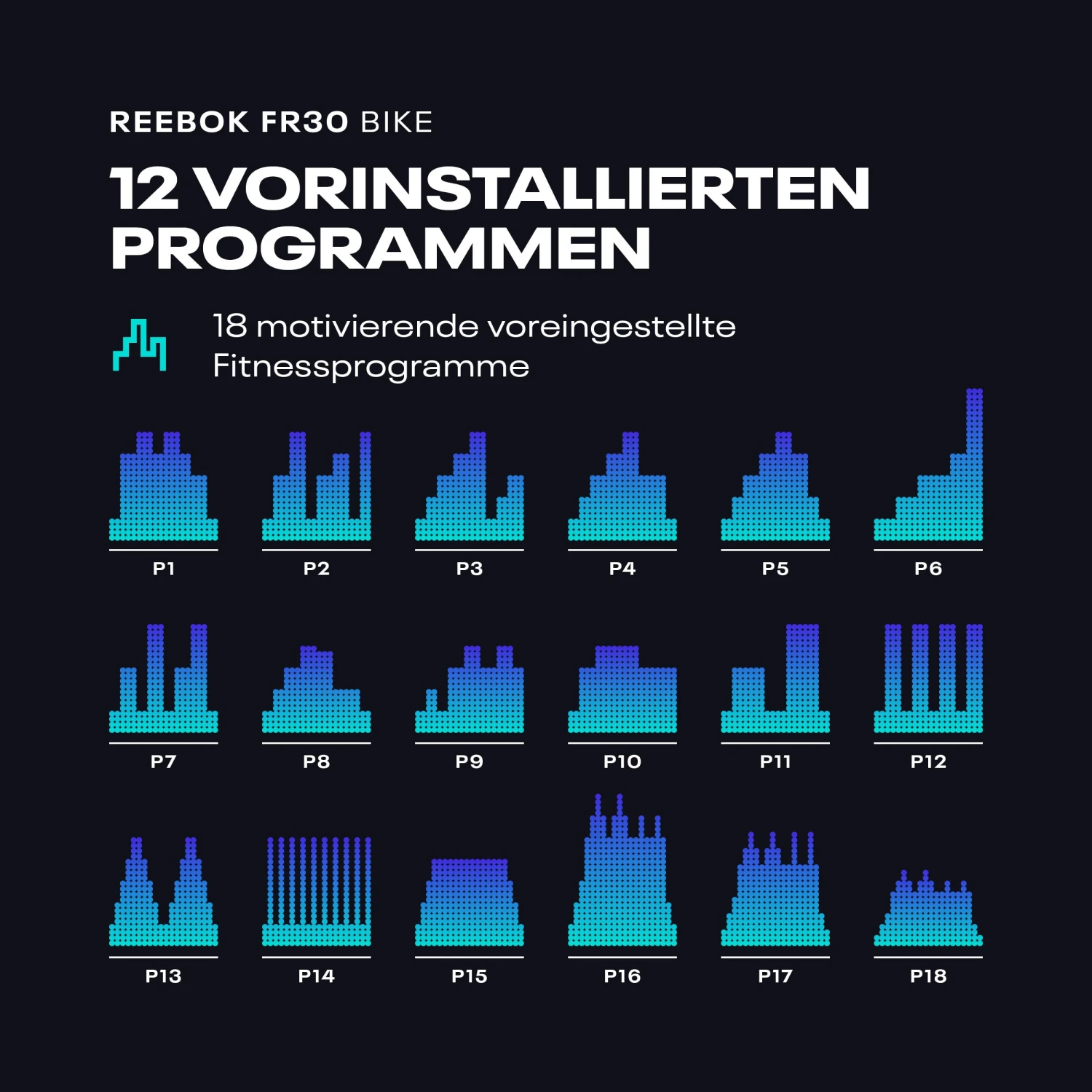 Reebok FR30 Ergometer 14 Reebok FR30 Ergometer – Bild 14