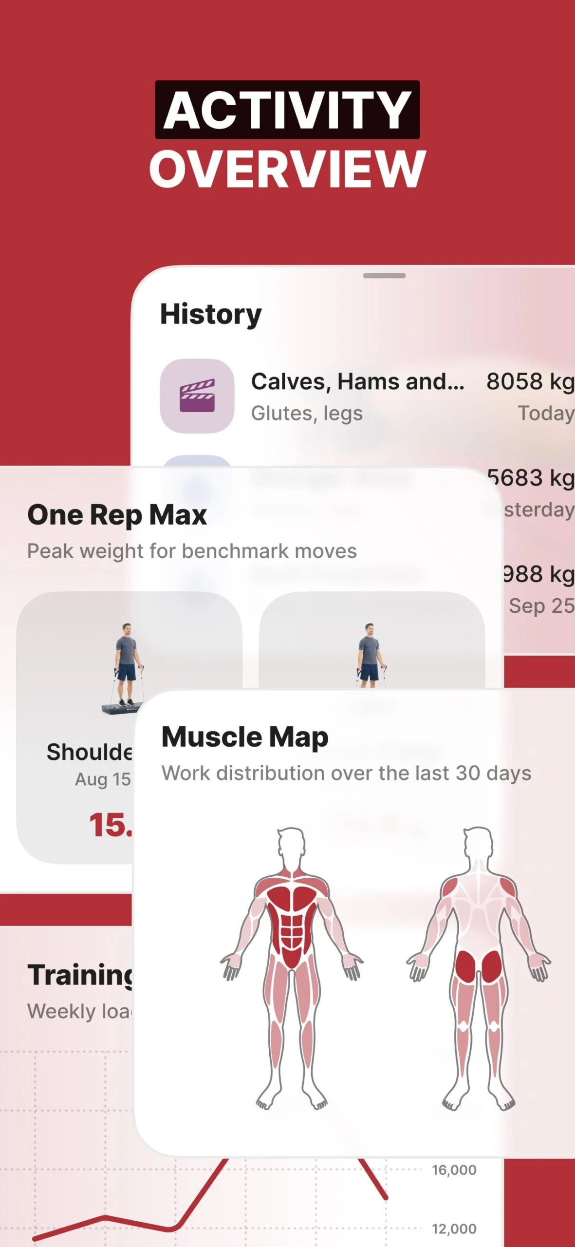 SOLE FITNESS SRVO Basic All-in-one-Trainer 12 SOLE FITNESS SRVO Basic All-in-one-Trainer – Bild 12