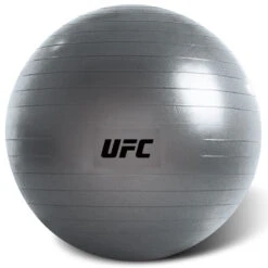 UFC FITBALL Gymnastikball